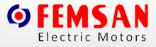 Femsan
